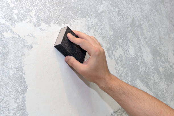 Best Biohazard Mold Removal  in Green Valley, AZ