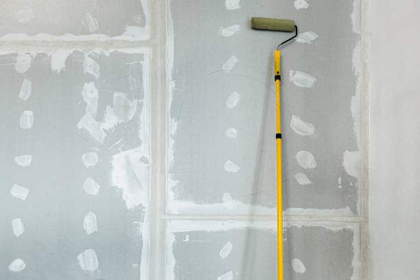  Green Valley, AZ Mold Removal Pros