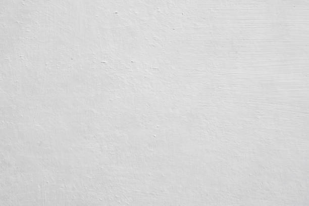 Best Mold Prevention Services  in Green Valley, AZ