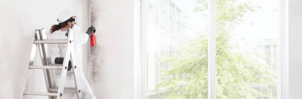 Best Comprehensive Air Testing for Mold Contaminants  in Green Valley, AZ