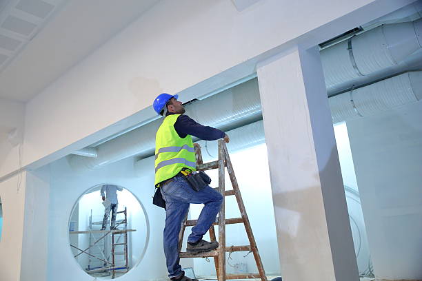 Best Basement Mold Removal  in Green Valley, AZ