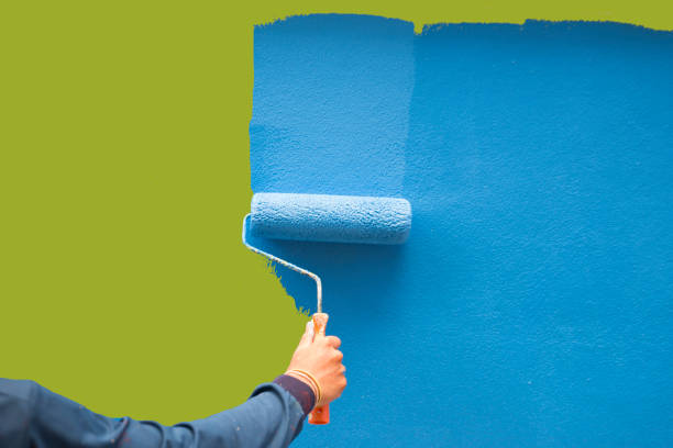 Best Black Mold Removal  in Green Valley, AZ