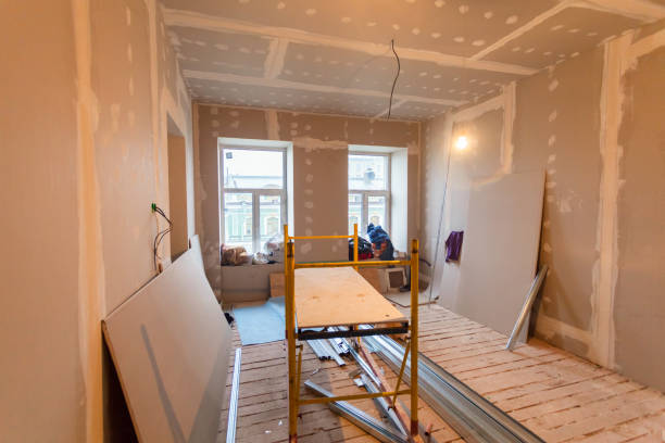 Best Black Mold Removal  in Green Valley, AZ